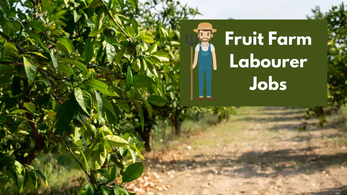 Fruit Farm Labourer Jobs in Canada