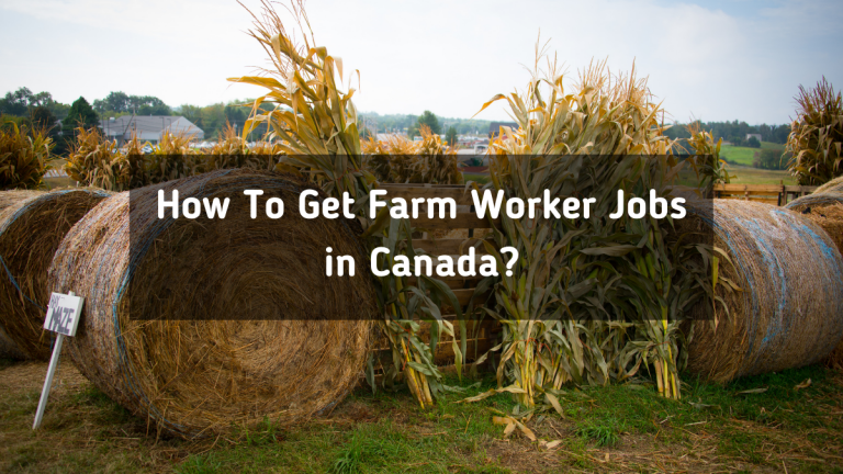 Farm Worker Jobs in Canada in 2021 Complete Guide & Jobs