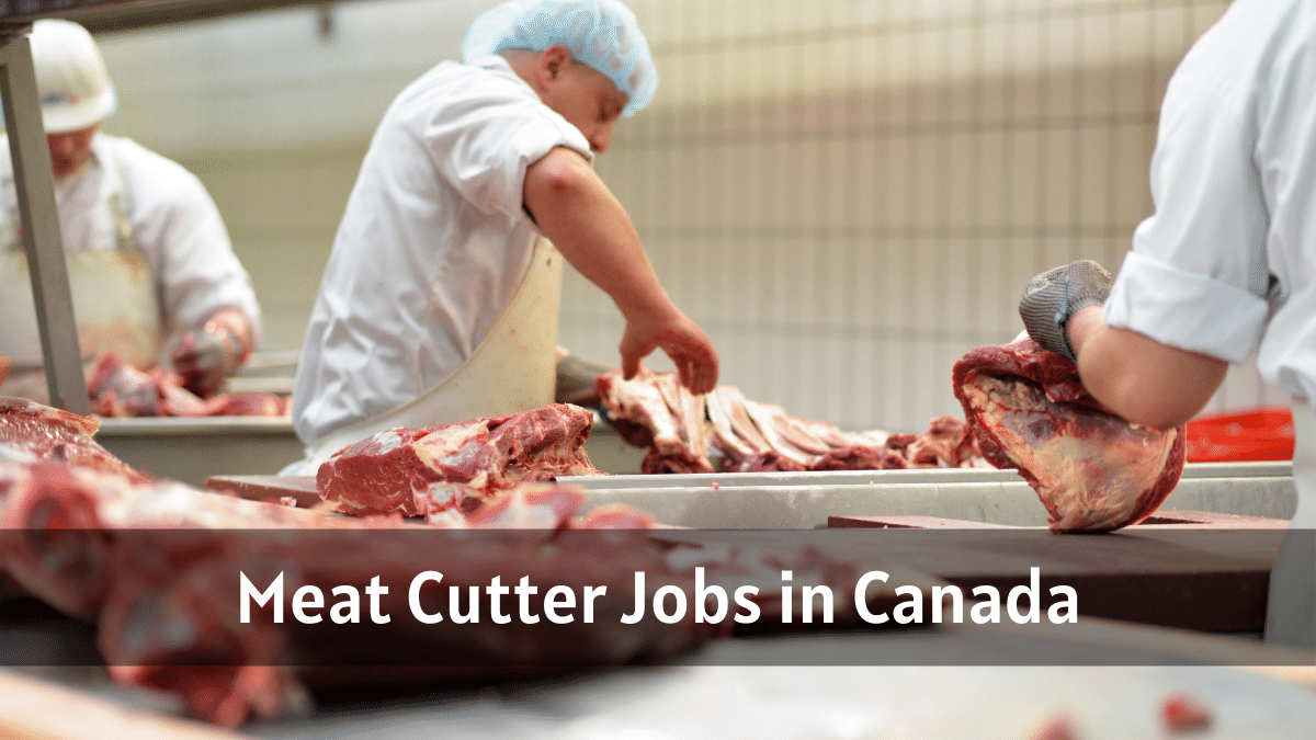 meat-cutter-jobs-in-canada-12-new-jobs