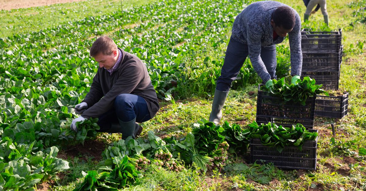 general-farm-worker-jobs-in-canada-06-new-jobs