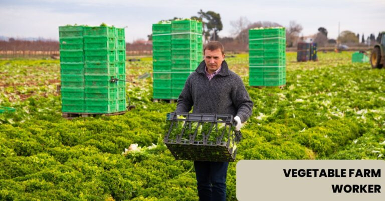 Vegetable Farm Worker Jobs in Canada