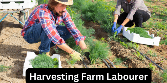 10-general-farm-labourer-vacancies-in-canada