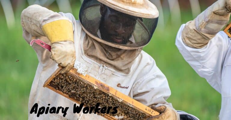 Apiary Worker Vacancies in Canada