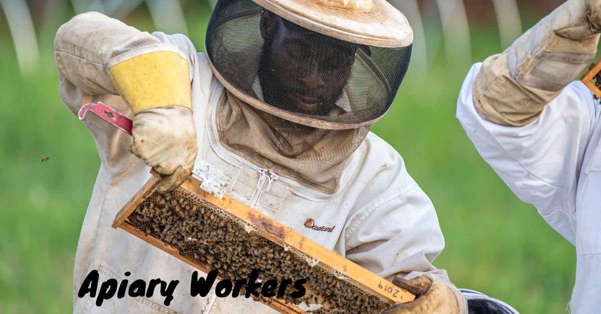 Apiary Worker Vacancies in Canada
