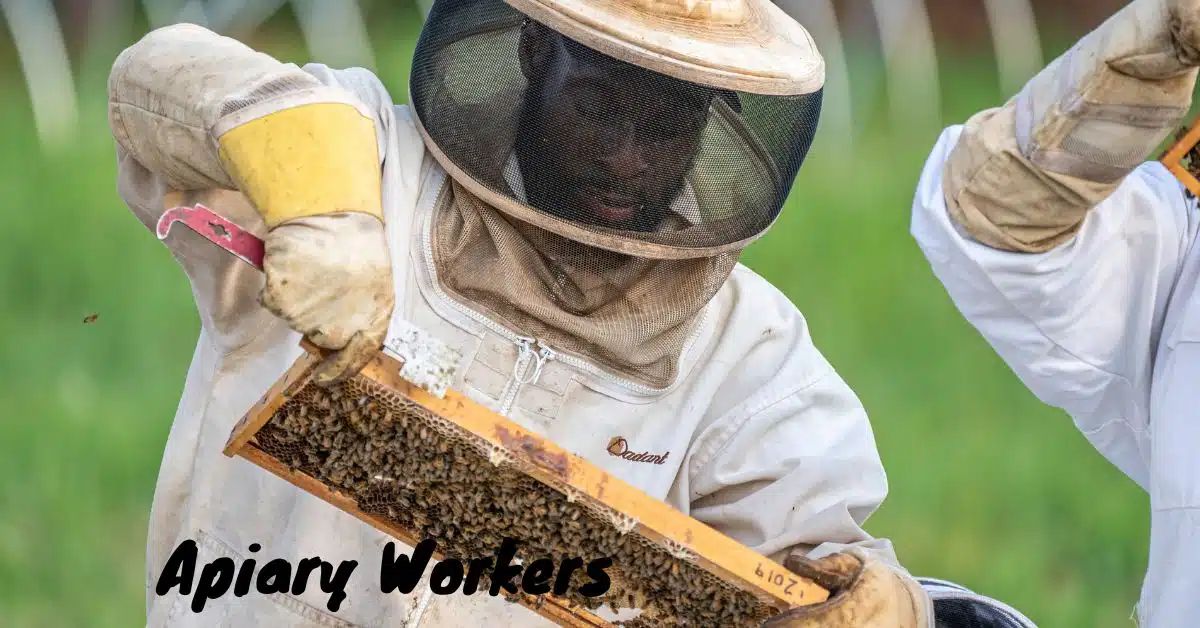 Apiary Worker Vacancies in Canada