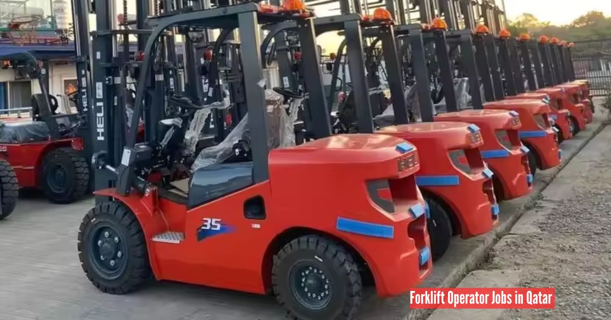 Forklift Operator Jobs in Qatar