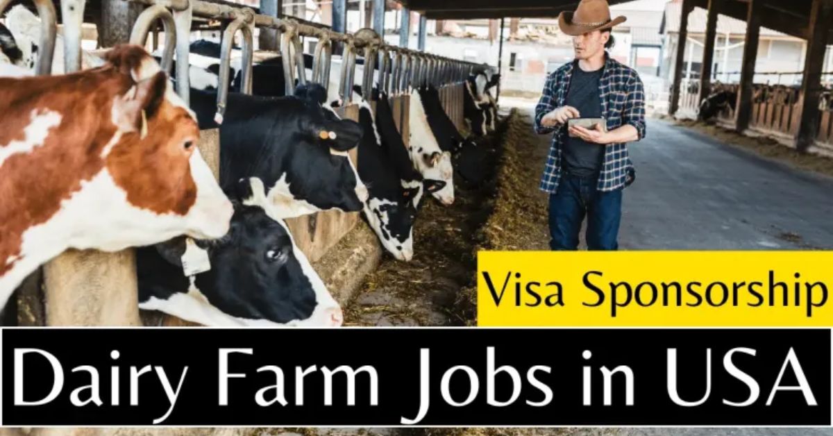 Dairy Farm Worker Jobs in USA