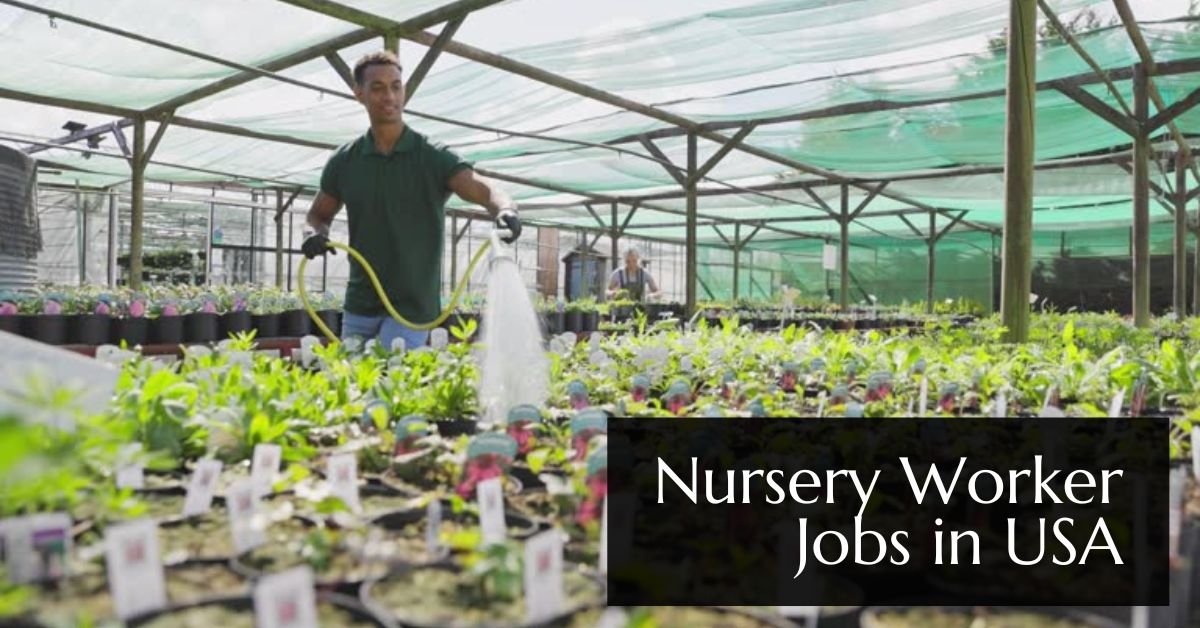 Nursery Worker Jobs in USA