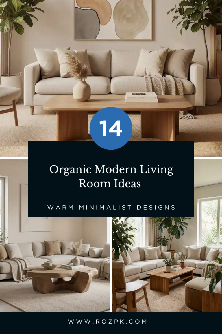 _Organic Modern Living Room Ideas